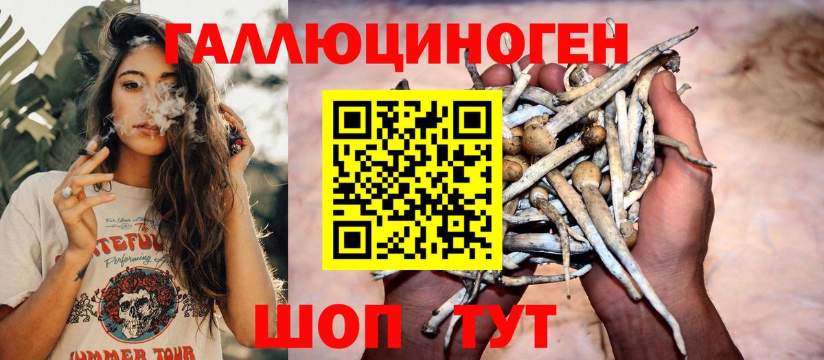 Псилоцибиновые грибы MAGIC MUSHROOMS  где можно купить   Галлюциногенные грибы мицелий  Хасавюрт  Вход с VPN 