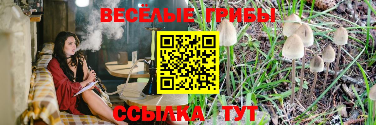 Псилоцибиновые грибы MAGIC MUSHROOMS Хасавюрт